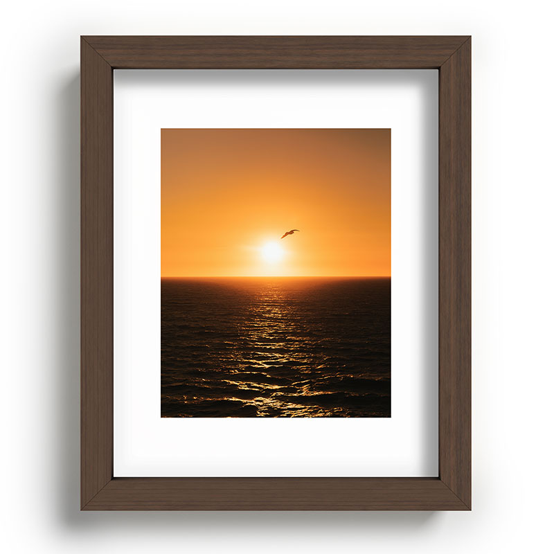 "flying solo" Framed Art Print