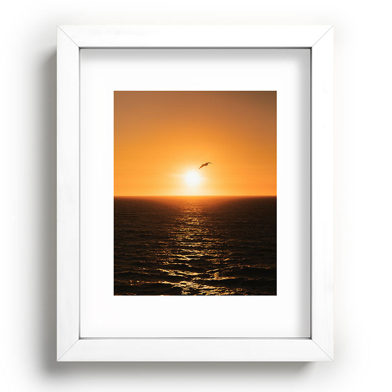 "flying solo" Framed Art Print