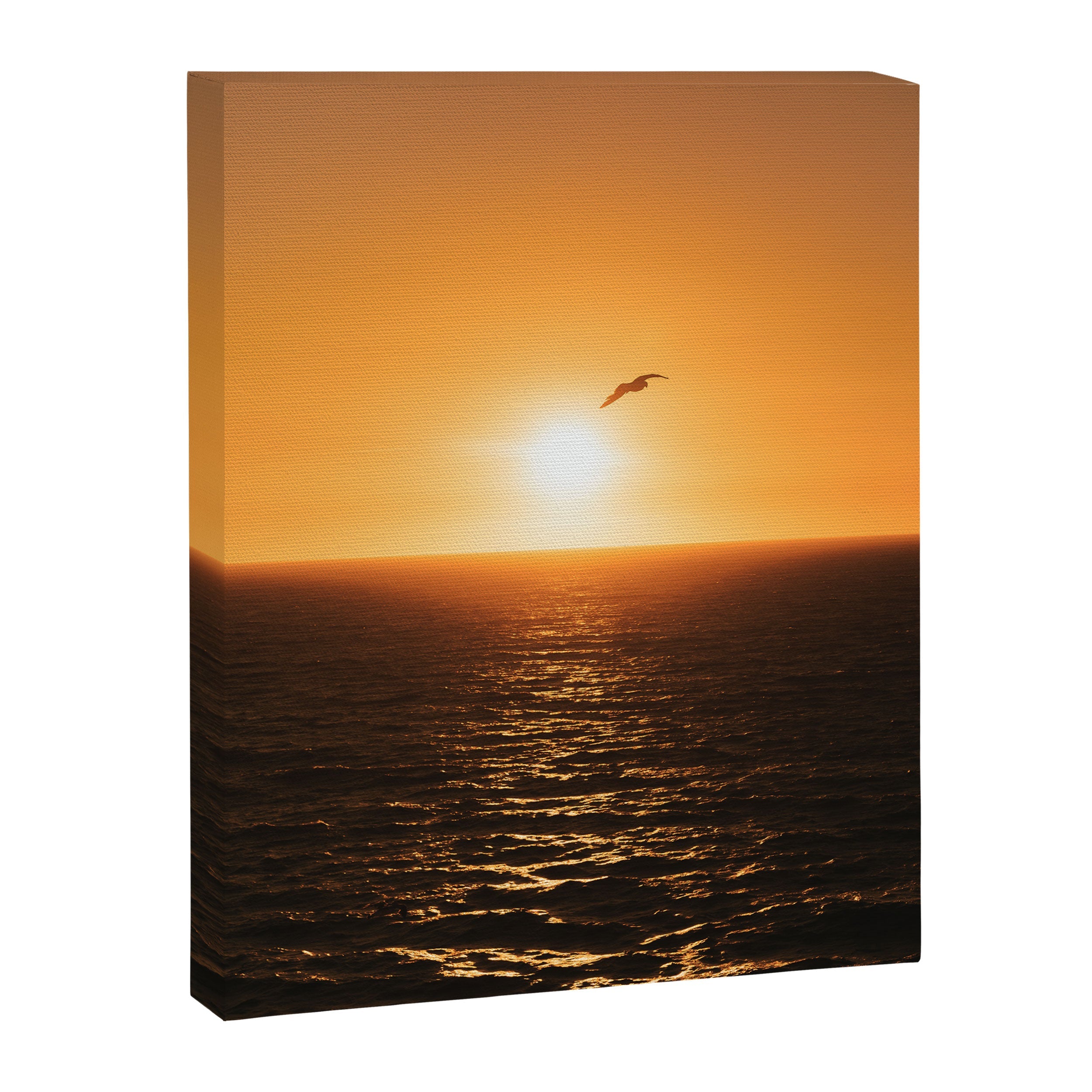 "flying solo" Canvas Print