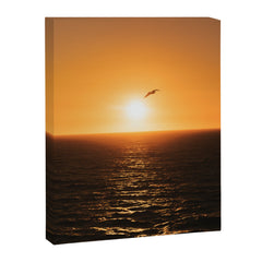 "flying solo" Canvas Print