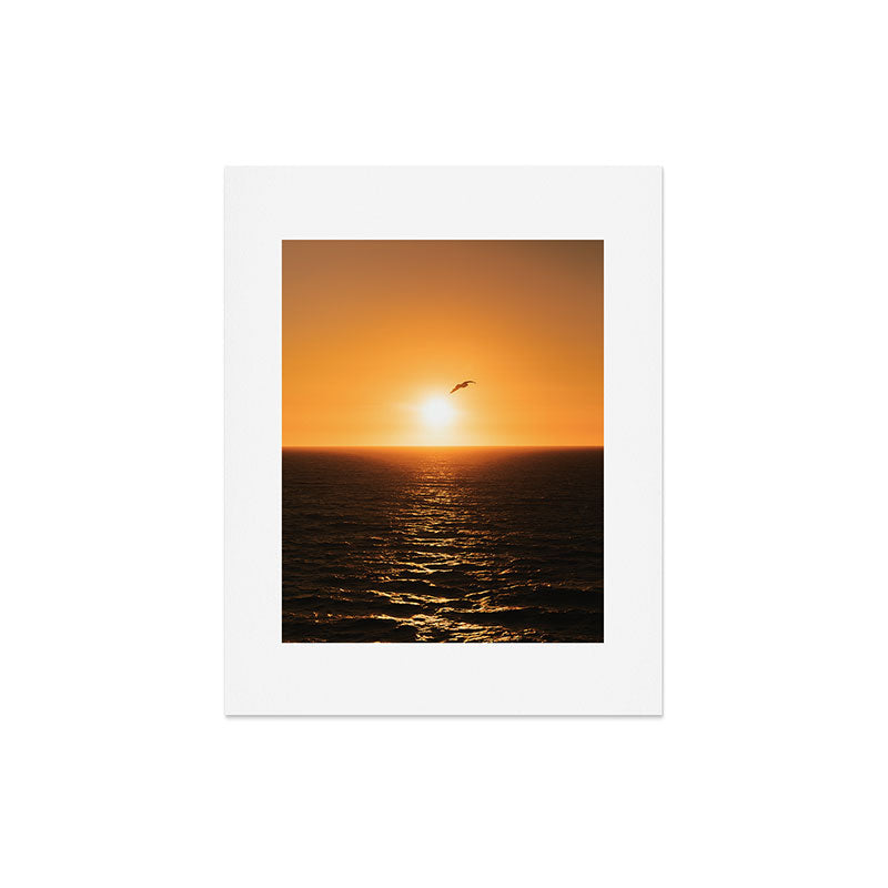 "flying solo" Art Print