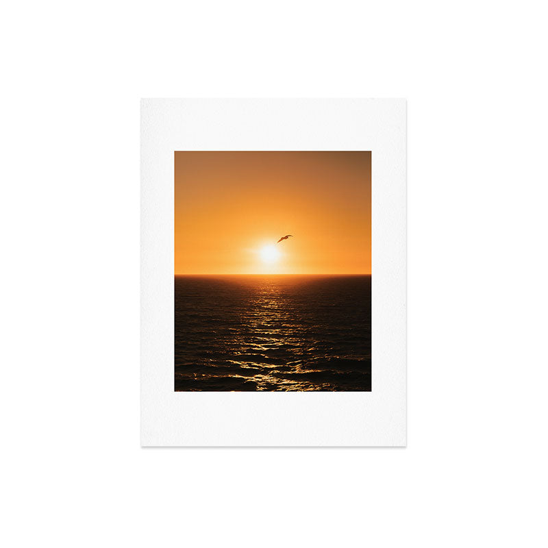 "flying solo" Art Print