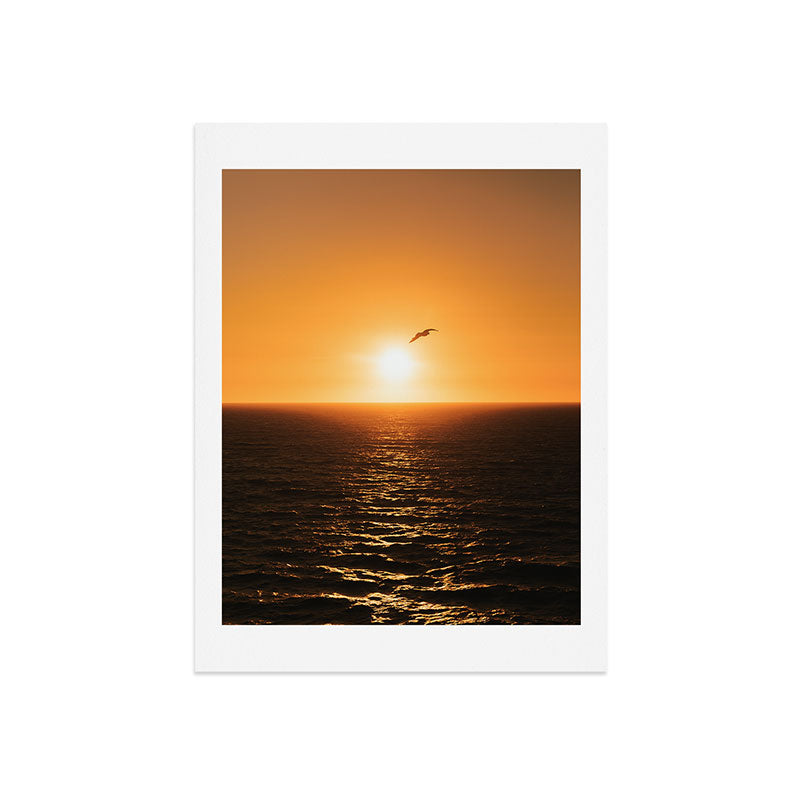 "flying solo" Art Print