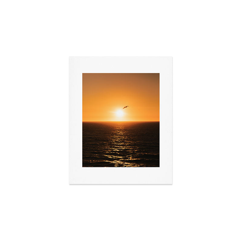 "flying solo" Art Print