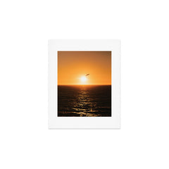 "flying solo" Art Print
