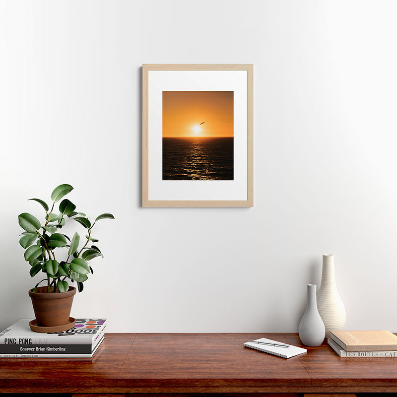 "flying solo" Framed Art Print