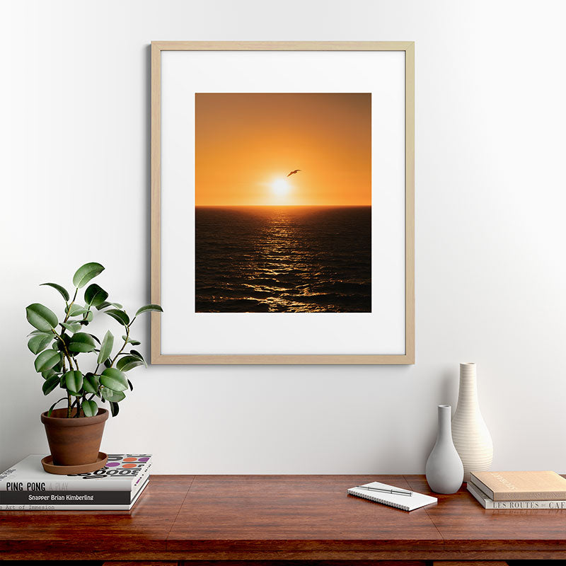 "flying solo" Framed Art Print