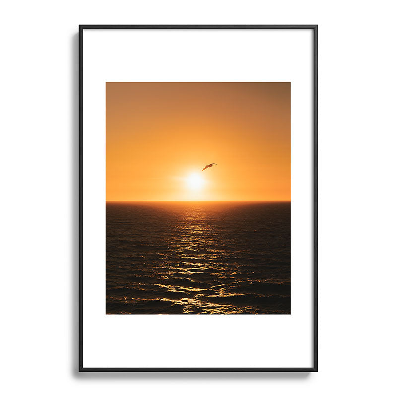 "flying solo" Framed Art Print