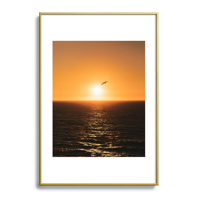 "flying solo" Framed Art Print