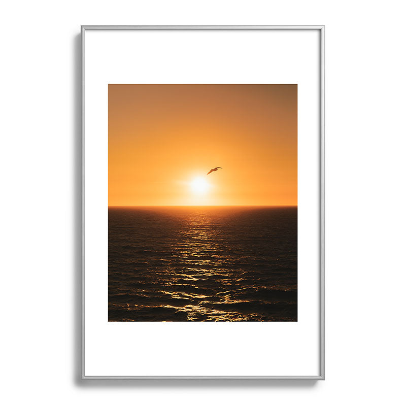 "flying solo" Framed Art Print