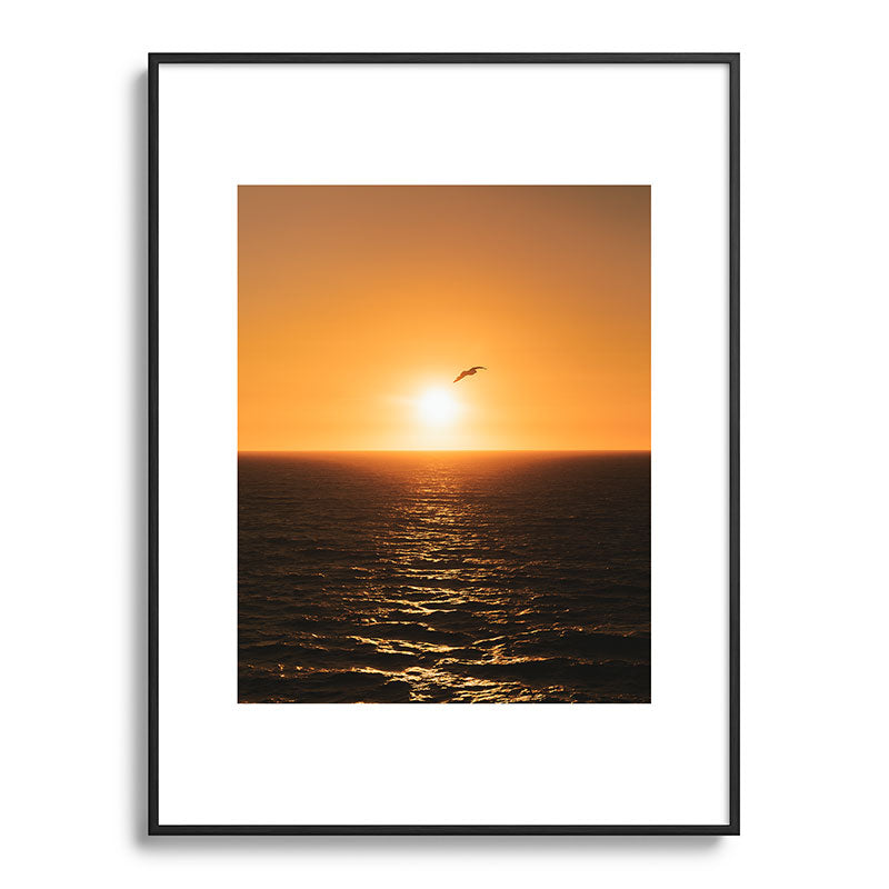 "flying solo" Framed Art Print