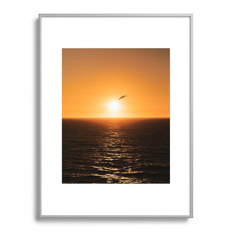 "flying solo" Framed Art Print