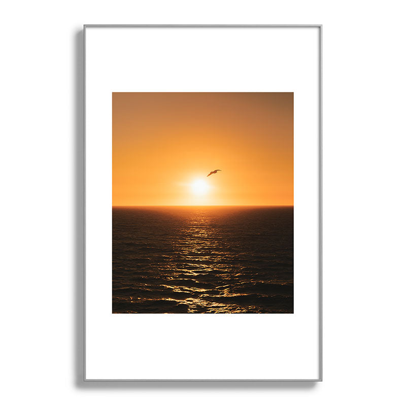 "flying solo" Framed Art Print