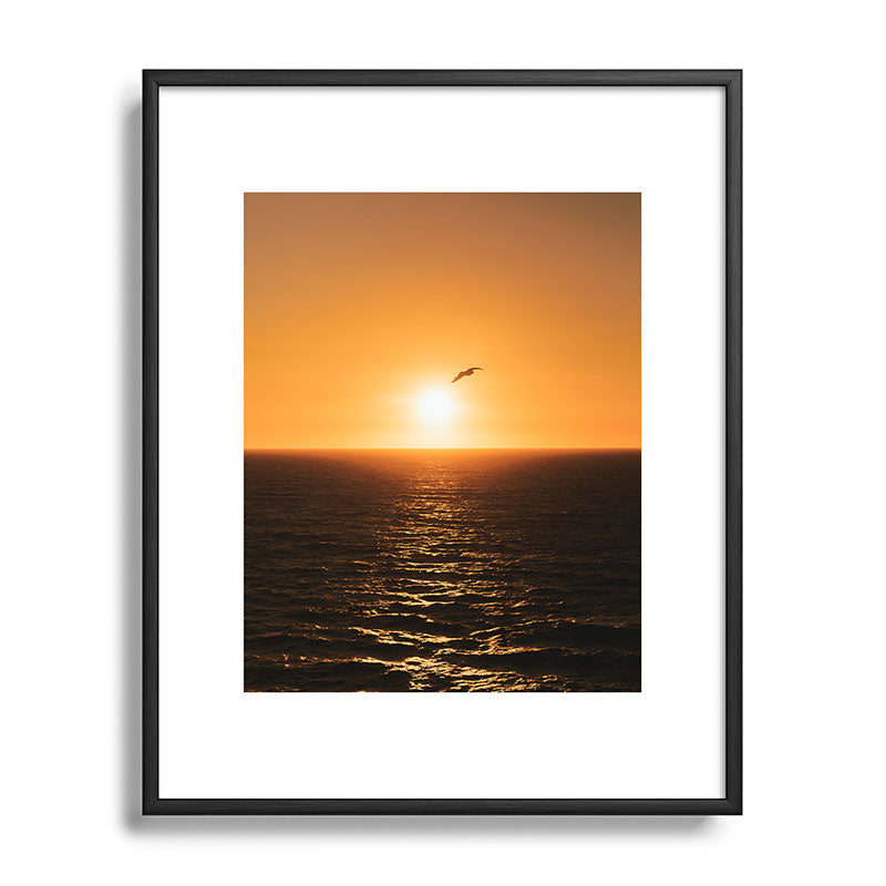 "flying solo" Framed Art Print