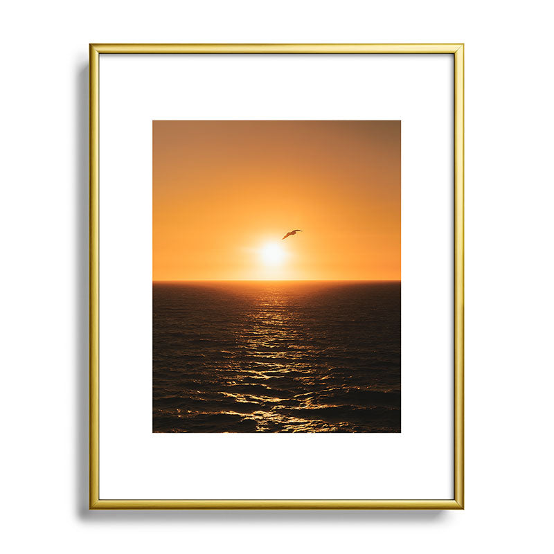 "flying solo" Framed Art Print