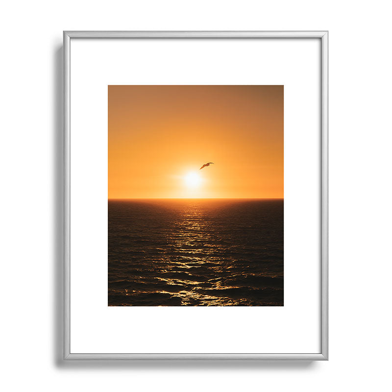 "flying solo" Framed Art Print