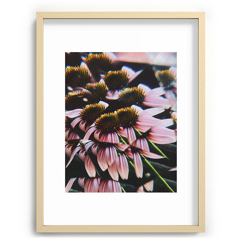 a dreamy summer solstice Framed Art Print