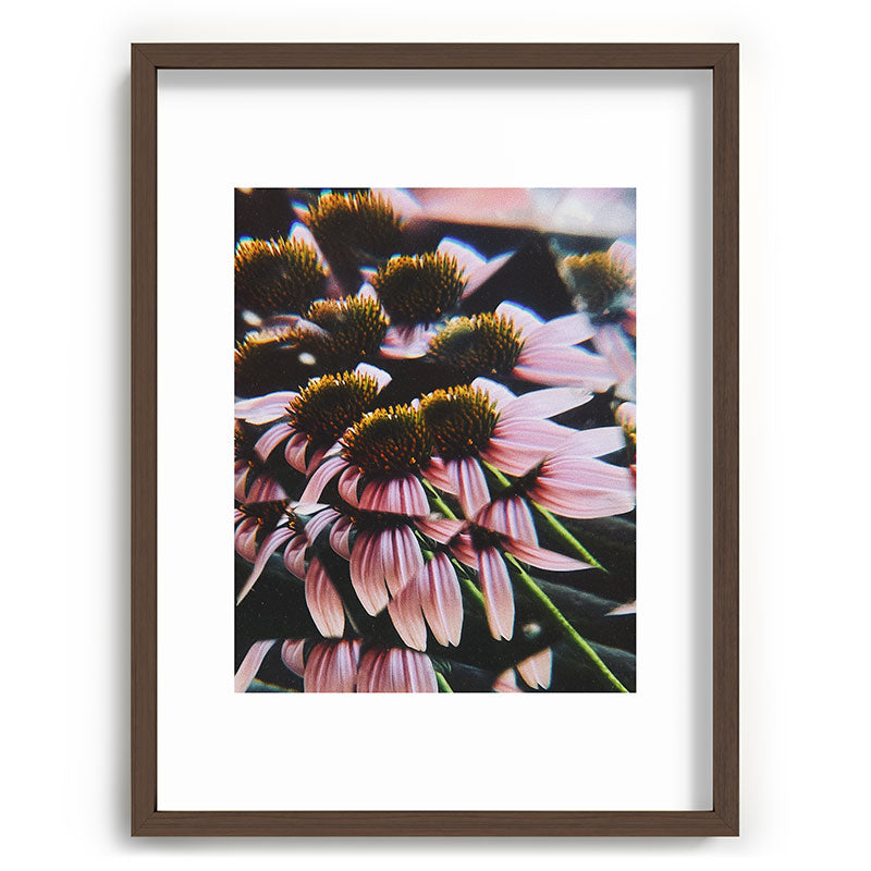 a dreamy summer solstice Framed Art Print