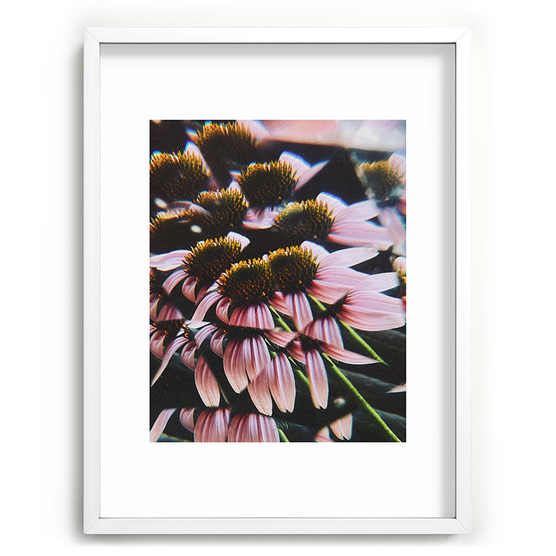 a dreamy summer solstice Framed Art Print