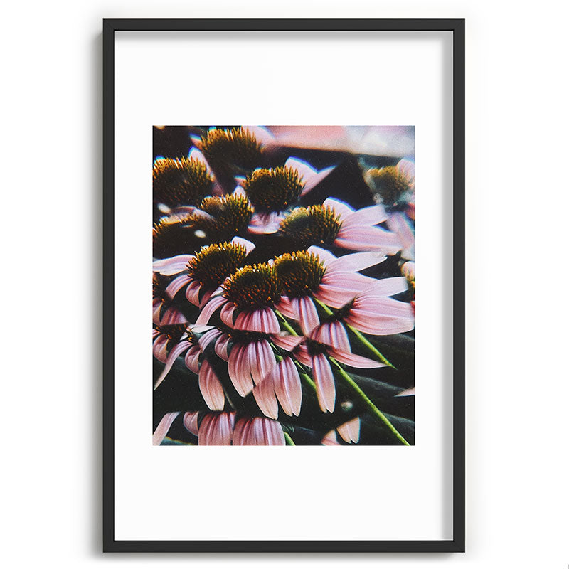 a dreamy summer solstice Framed Art Print