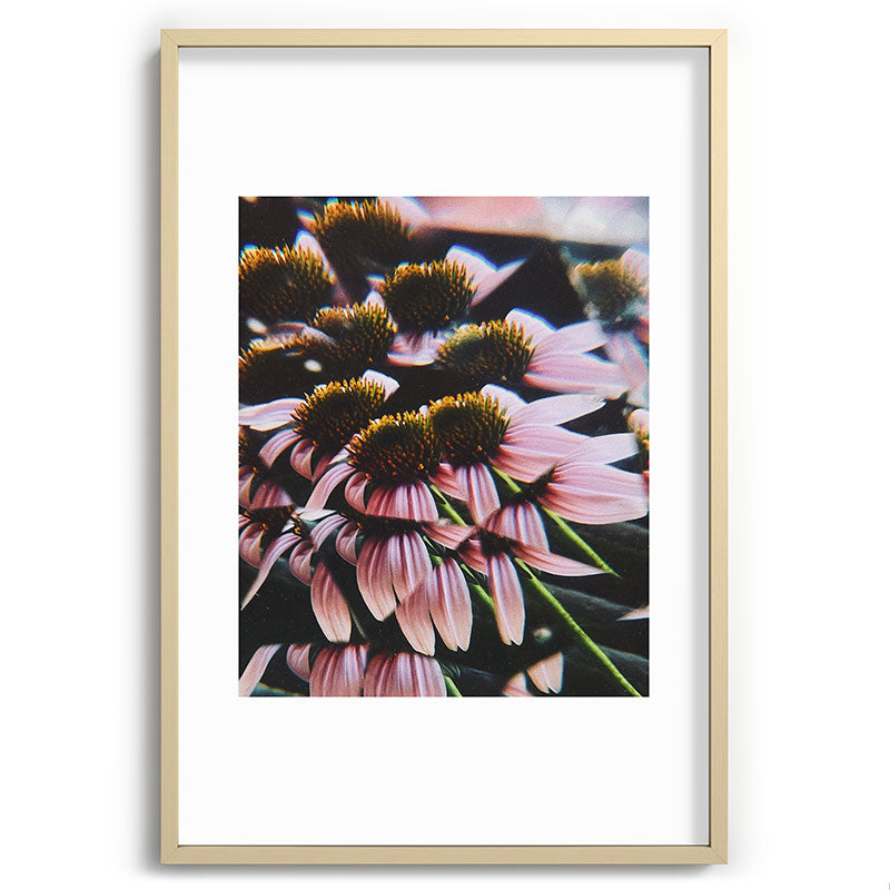 a dreamy summer solstice Framed Art Print