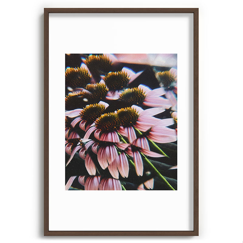 a dreamy summer solstice Framed Art Print