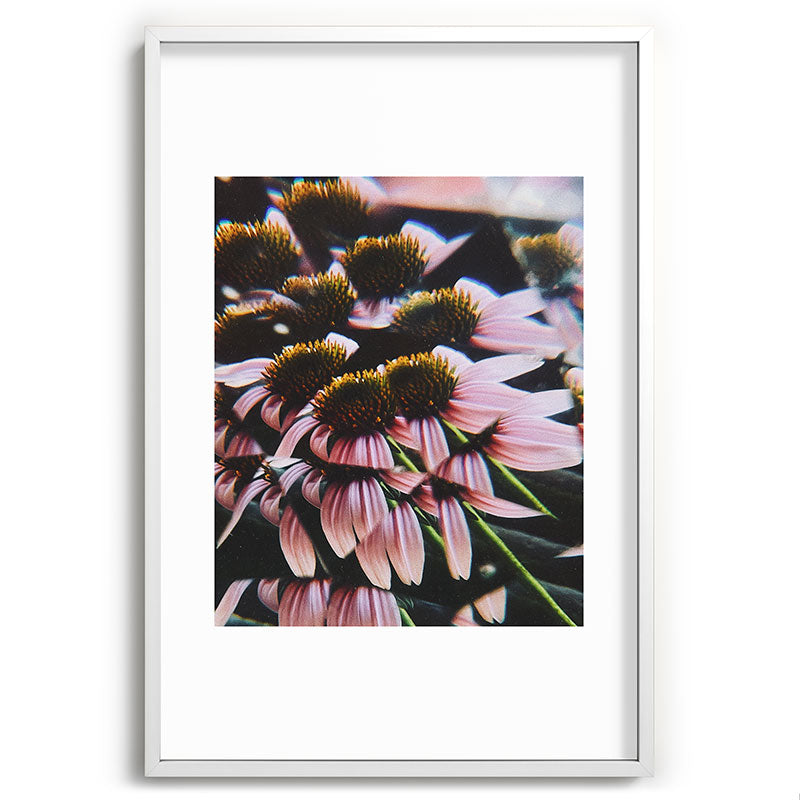 a dreamy summer solstice Framed Art Print