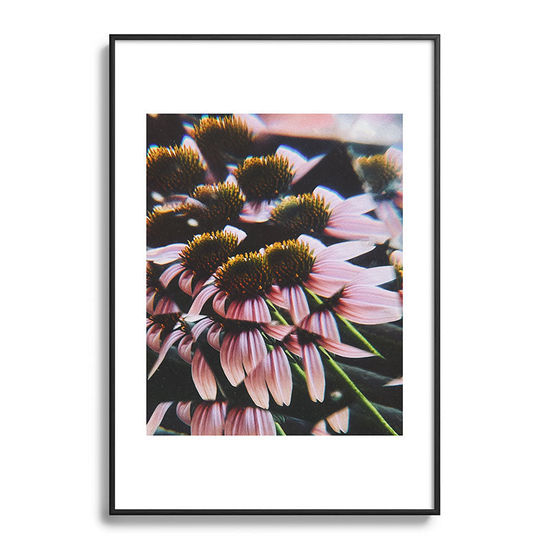 a dreamy summer solstice Framed Art Print