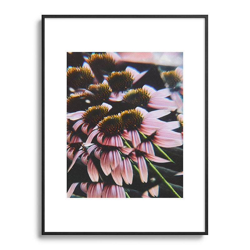 a dreamy summer solstice Framed Art Print