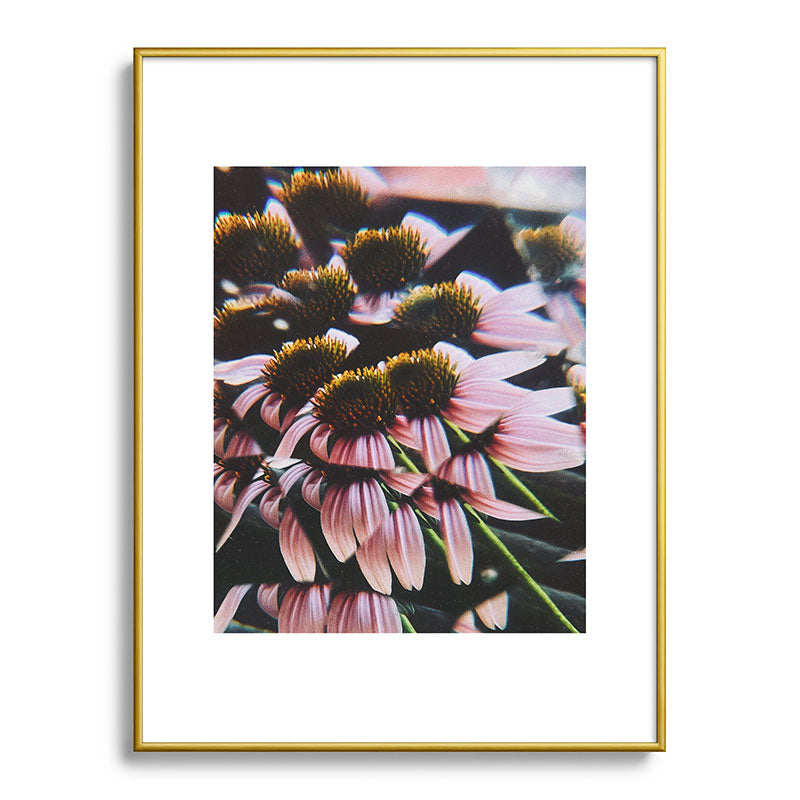 a dreamy summer solstice Framed Art Print