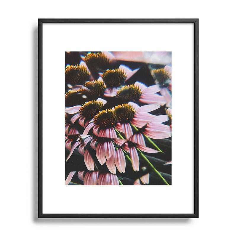 a dreamy summer solstice Framed Art Print