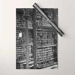 A book lovers dream - Cast-iron Book Alcoves Cincinnati Library black and white photography Wrapping Paper