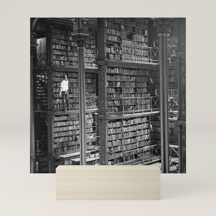 A book lovers dream - Cast-iron Book Alcoves Cincinnati Library black and white photography Mini Art Print