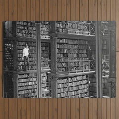 A book lovers dream - Cast-iron Book Alcoves Cincinnati Library black and white photography Outdoor Rug
