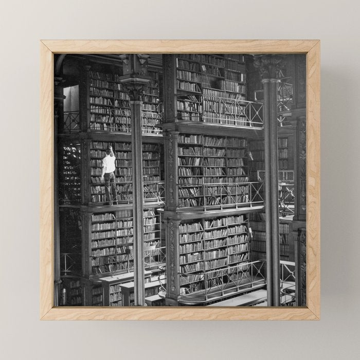 A book lovers dream - Cast-iron Book Alcoves Cincinnati Library black and white photography Mini Art Print