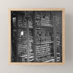 A book lovers dream - Cast-iron Book Alcoves Cincinnati Library black and white photography Mini Art Print