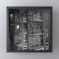 A book lovers dream - Cast-iron Book Alcoves Cincinnati Library black and white photography Mini Art Print