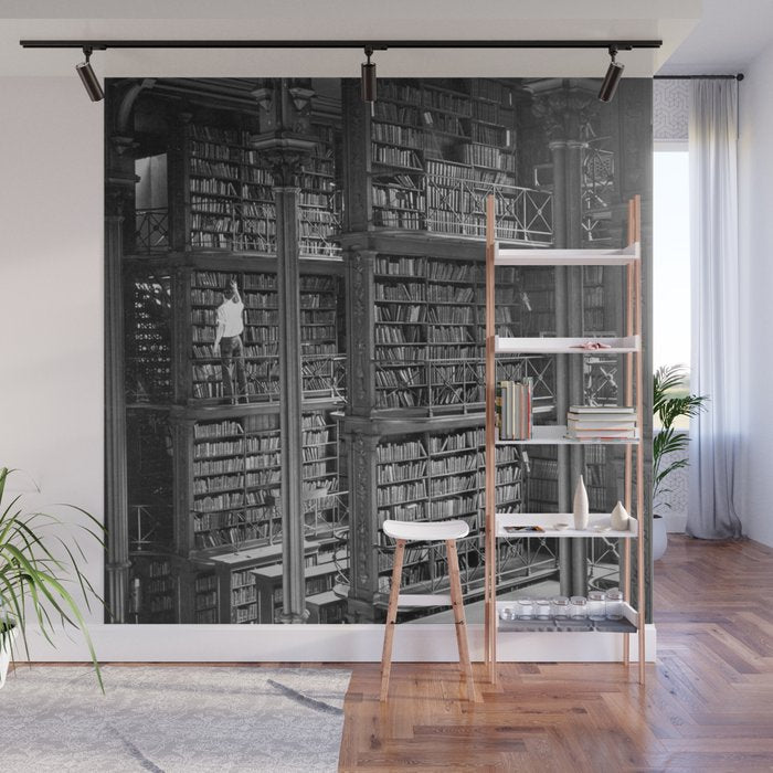 A book lovers dream - Cast-iron Book Alcoves Cincinnati Library black and white photography Wall Mural