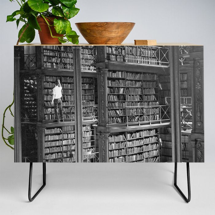 A book lovers dream - Cast-iron Book Alcoves Cincinnati Library black and white photography Credenza