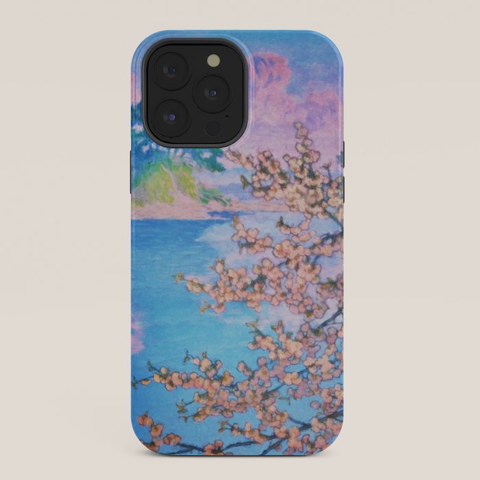 A Closer Look at Kukuyediyo (Series IV of IV) - Nature Landscape iPhone Case