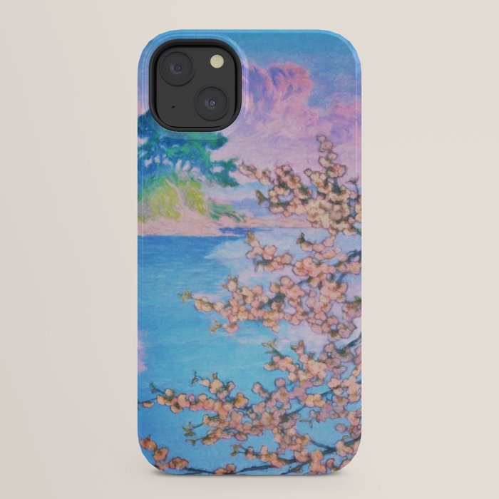 A Closer Look at Kukuyediyo (Series IV of IV) - Nature Landscape iPhone Case