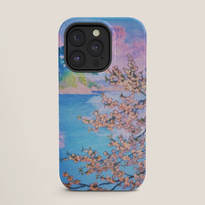 A Closer Look at Kukuyediyo (Series IV of IV) - Nature Landscape iPhone Case