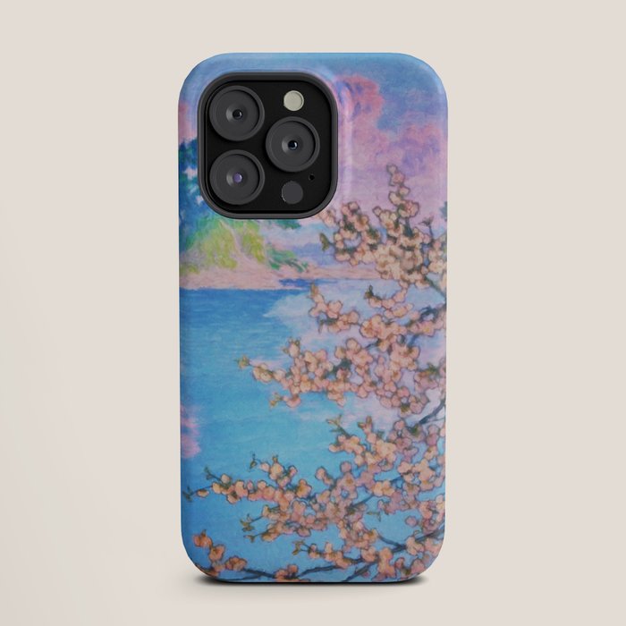 A Closer Look at Kukuyediyo (Series IV of IV) - Nature Landscape iPhone Case