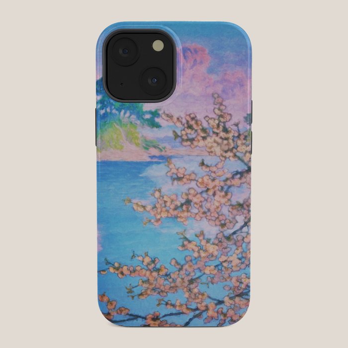 A Closer Look at Kukuyediyo (Series IV of IV) - Nature Landscape iPhone Case