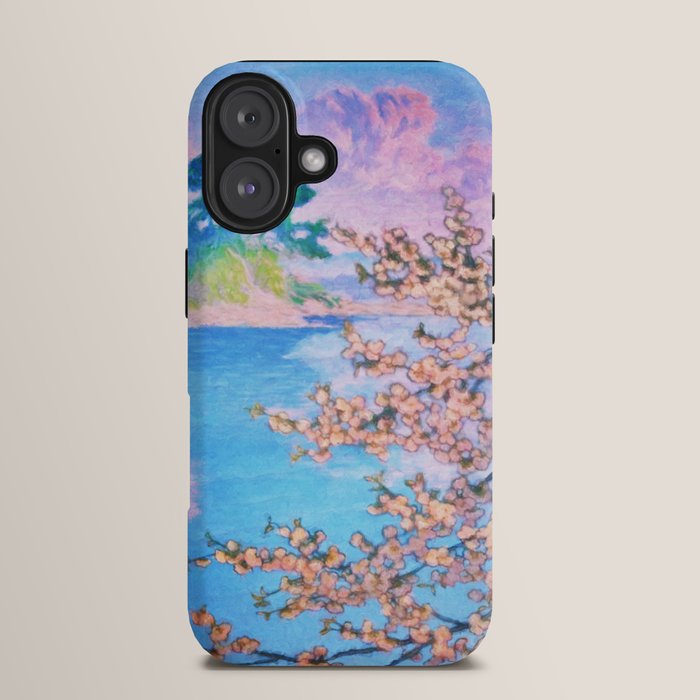 A Closer Look at Kukuyediyo (Series IV of IV) - Nature Landscape iPhone Case