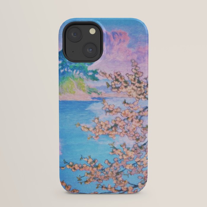 A Closer Look at Kukuyediyo (Series IV of IV) - Nature Landscape iPhone Case