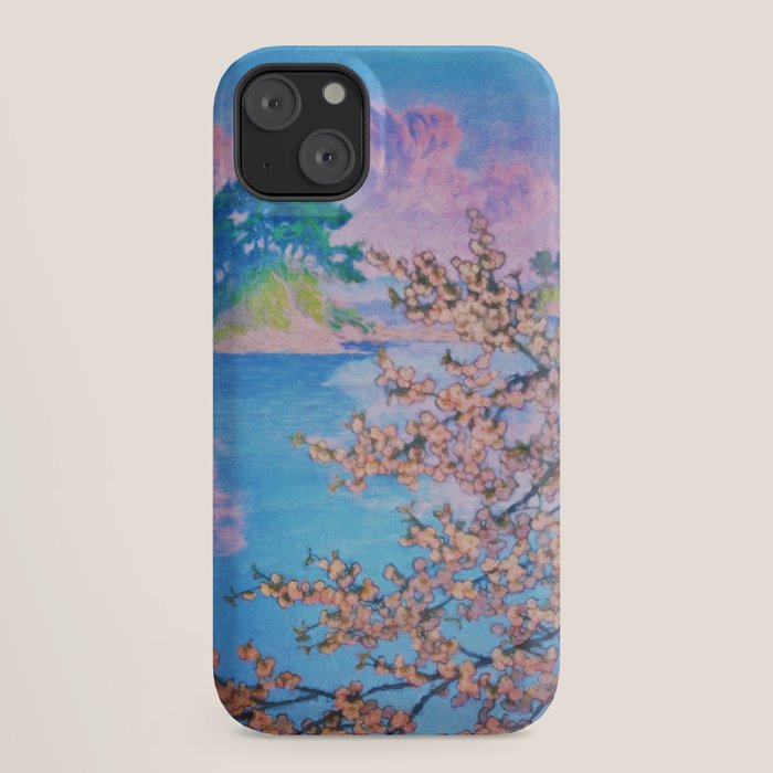 A Closer Look at Kukuyediyo (Series IV of IV) - Nature Landscape iPhone Case