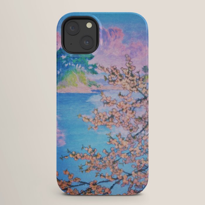 A Closer Look at Kukuyediyo (Series IV of IV) - Nature Landscape iPhone Case
