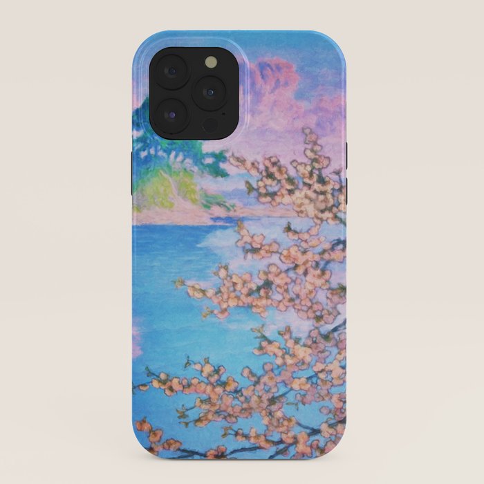 A Closer Look at Kukuyediyo (Series IV of IV) - Nature Landscape iPhone Case