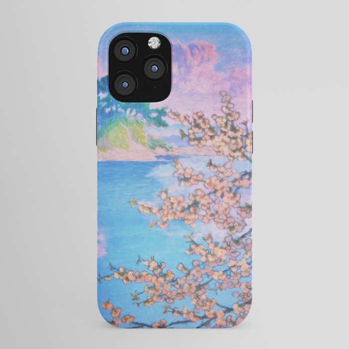 A Closer Look at Kukuyediyo (Series IV of IV) - Nature Landscape iPhone Case